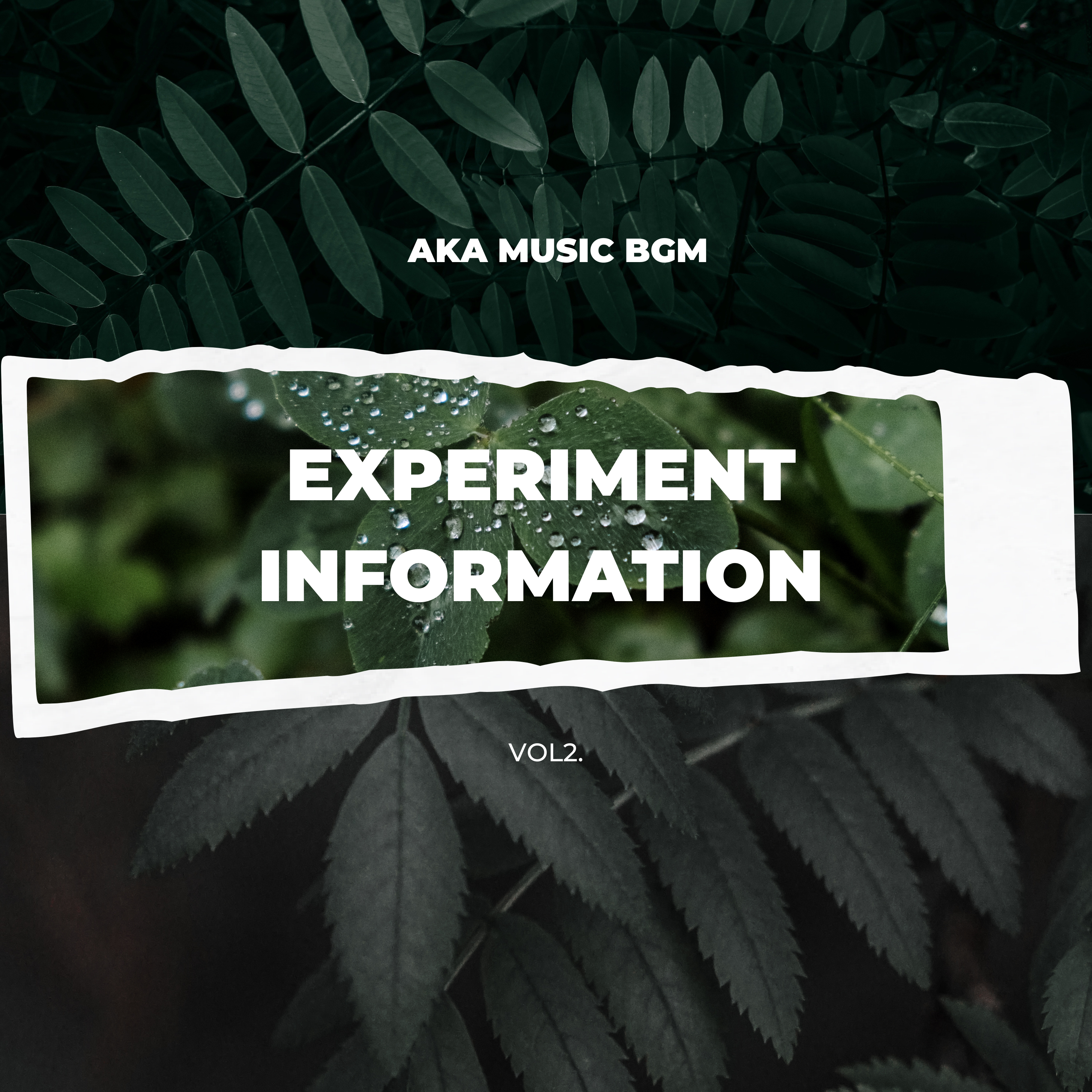EXPERIMENT INFORMATION VOL2 cover